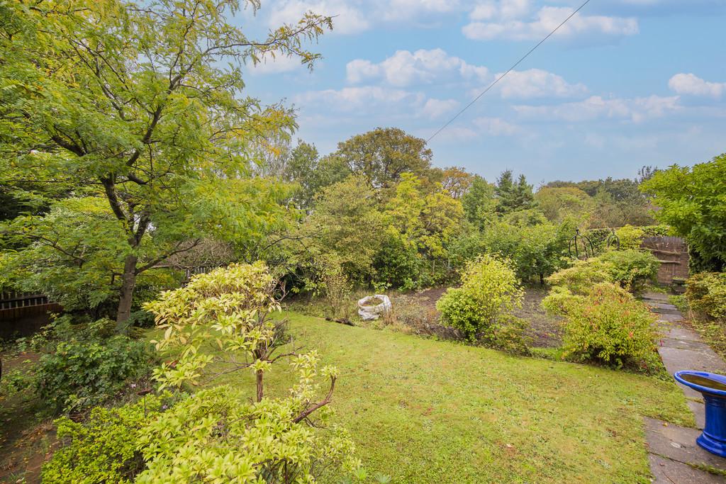 Garden 2