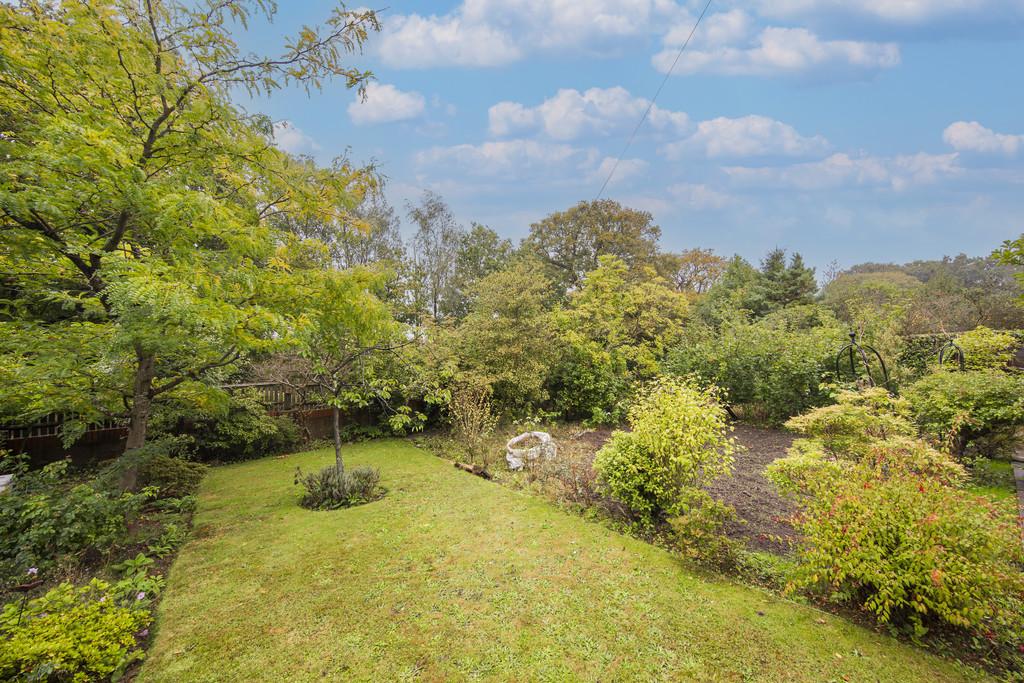 Garden 1