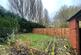 Garden.jpg