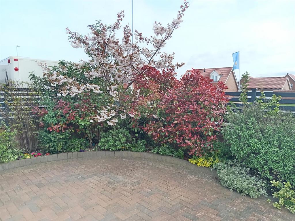 IMG 20240411 115057.jpg