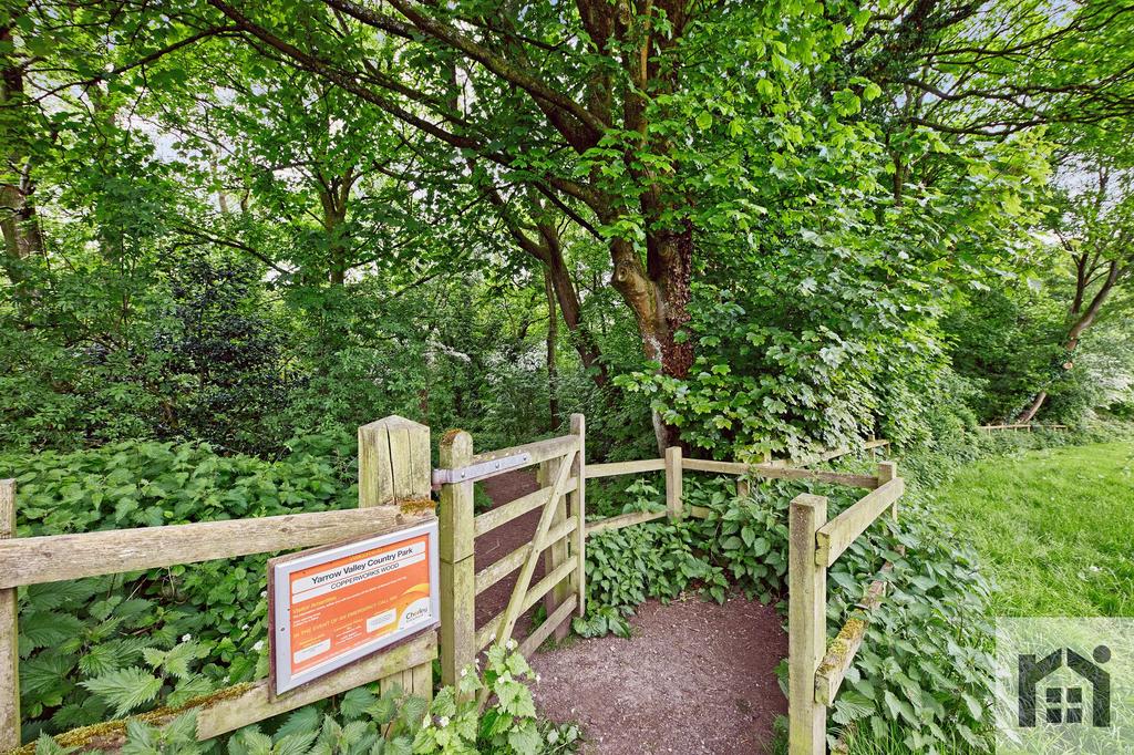 Local walks