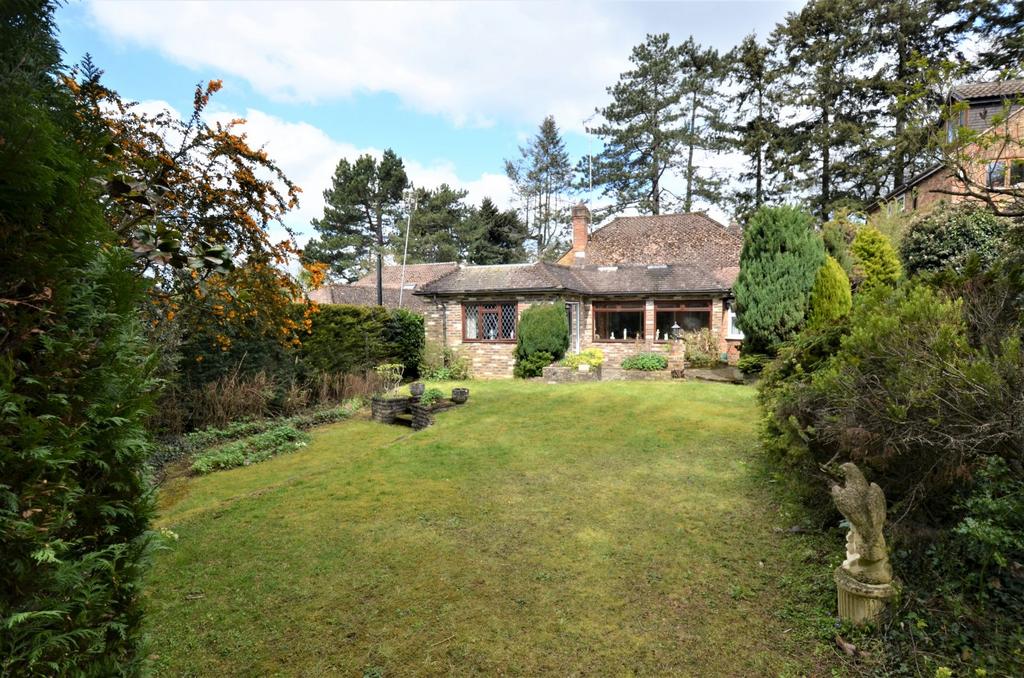 Rear Garden 2