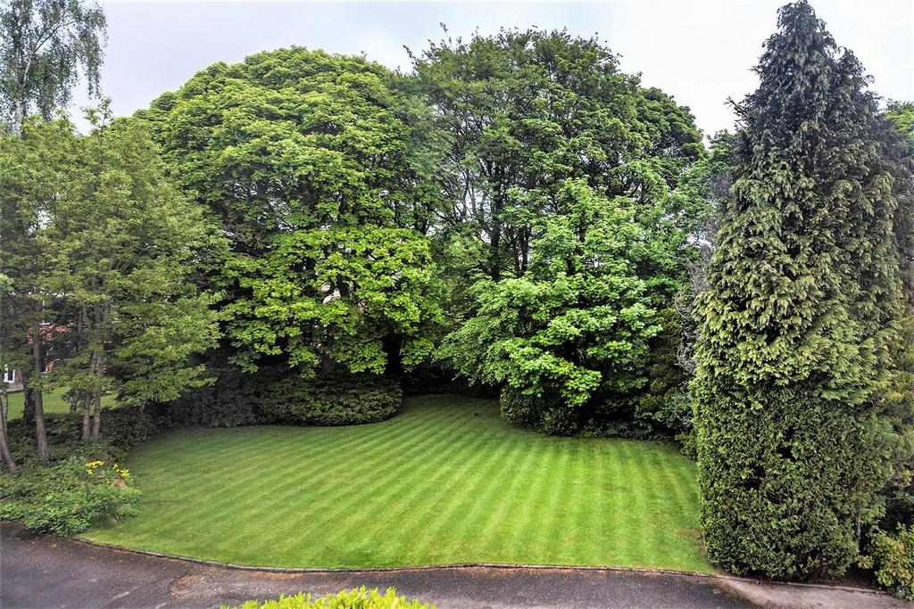 Garden.jpg