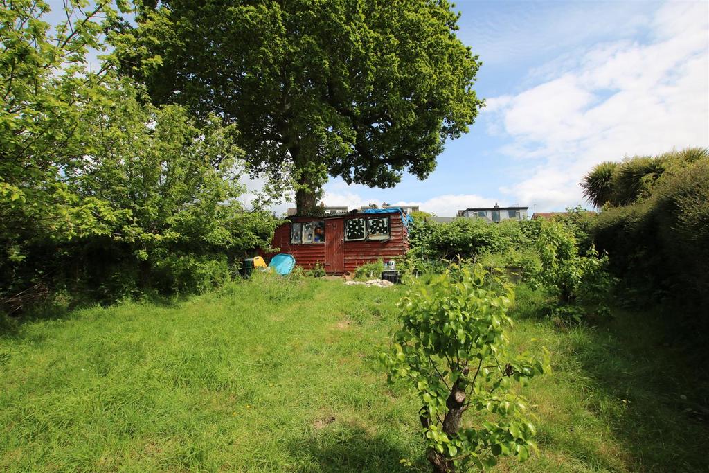 Back Garden.JPG