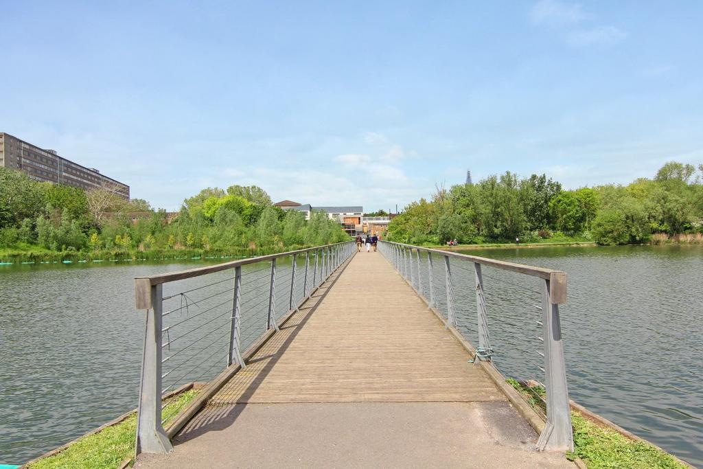 IMG 5586.jpg