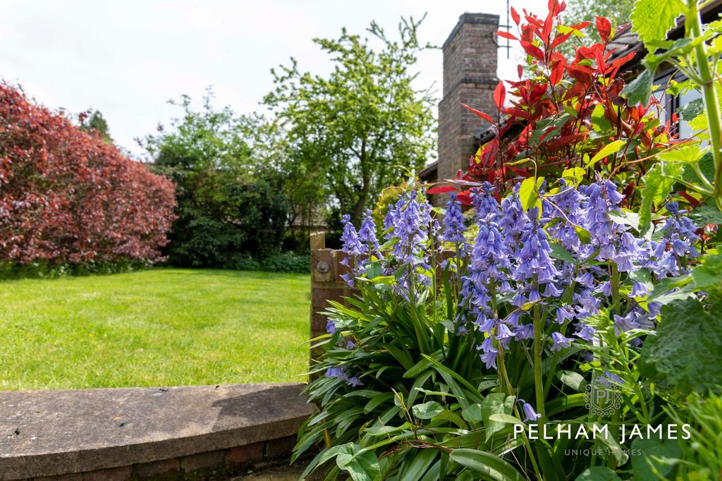 Garden, 25 Back Lane, South Luffenham