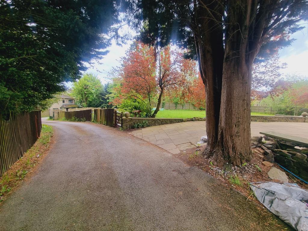 Photograph 45