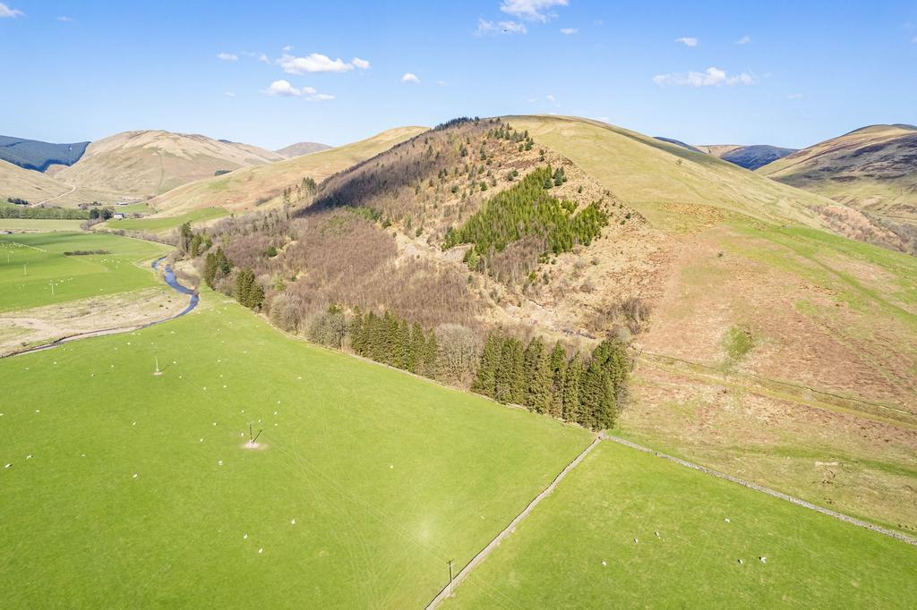 Blackhall Wood, Ewesdale, Langholm, DG13 0HW Land for sale £100,000