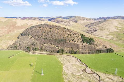 Land for sale, Blackhall Wood, Langholm, DG13