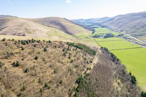 Land for sale, Blackhall Wood, Langholm, DG13