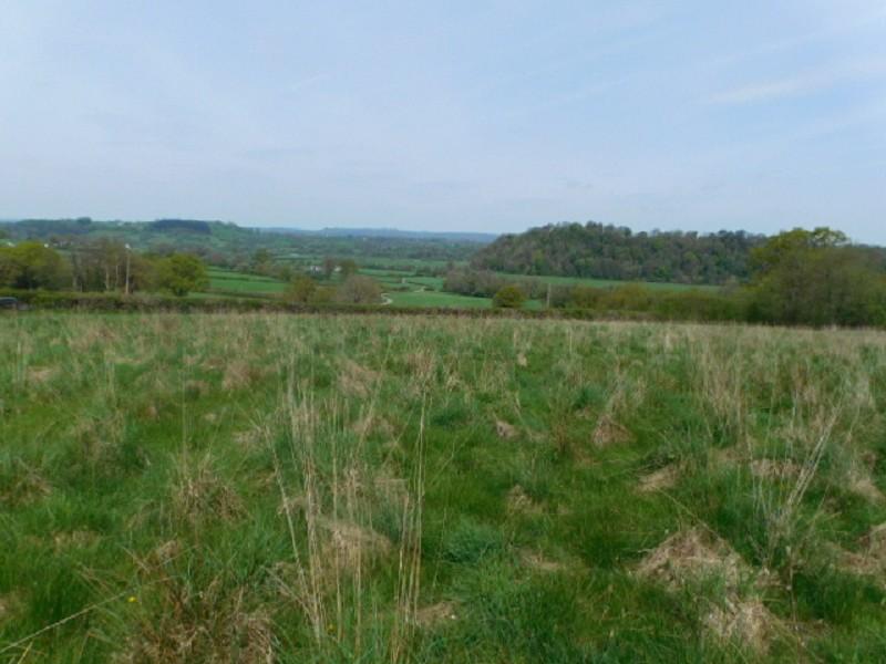 Golden Grove, Carmarthen, Carmarthenshire. Land for sale £30,000