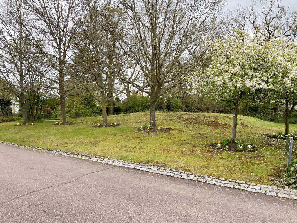 View of the land adjacent to 1 Alexander Mews