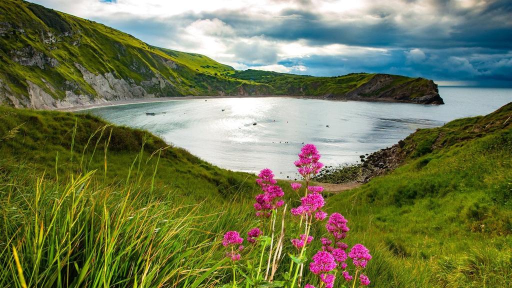 Lulworth Cove