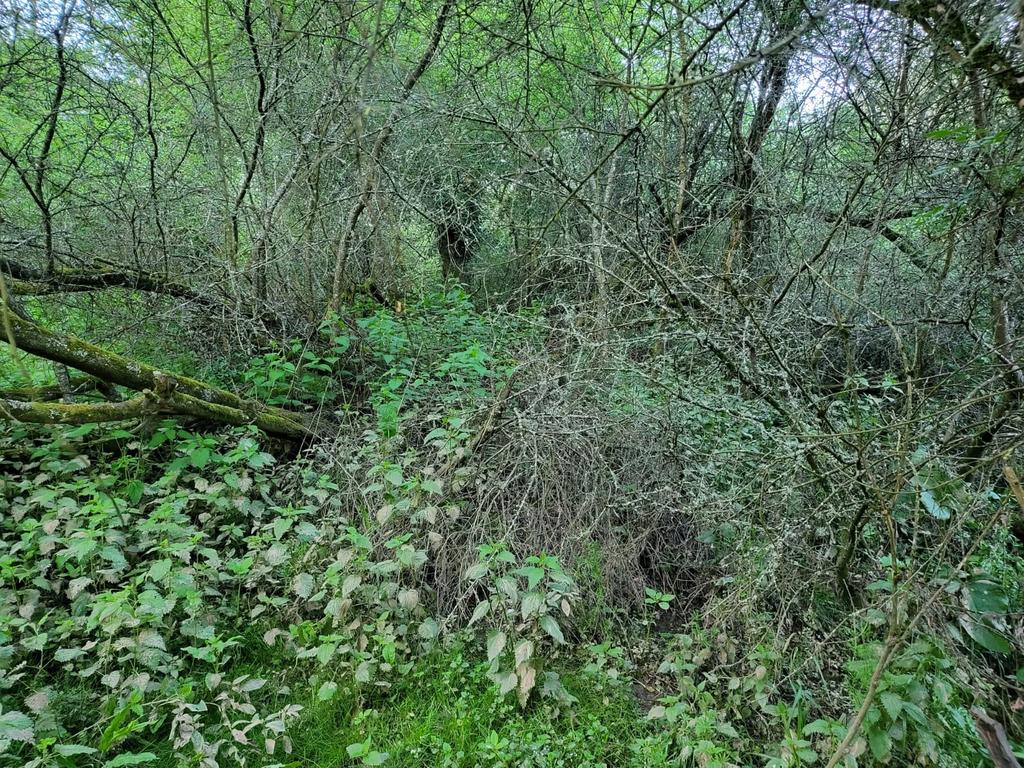 Upper Bourne End Lane, Hemel Hempstead HP1 Land for sale £10,000