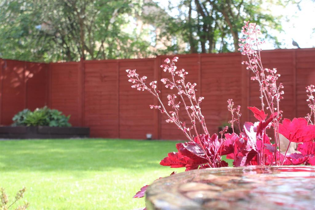 Rear garden
