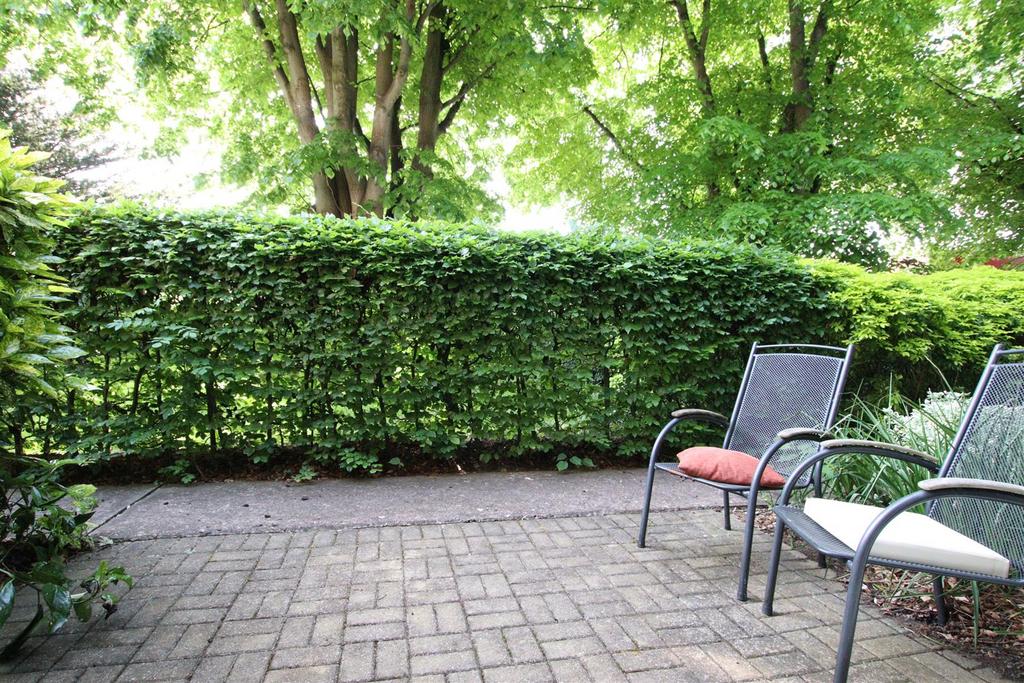 Patio a.JPG