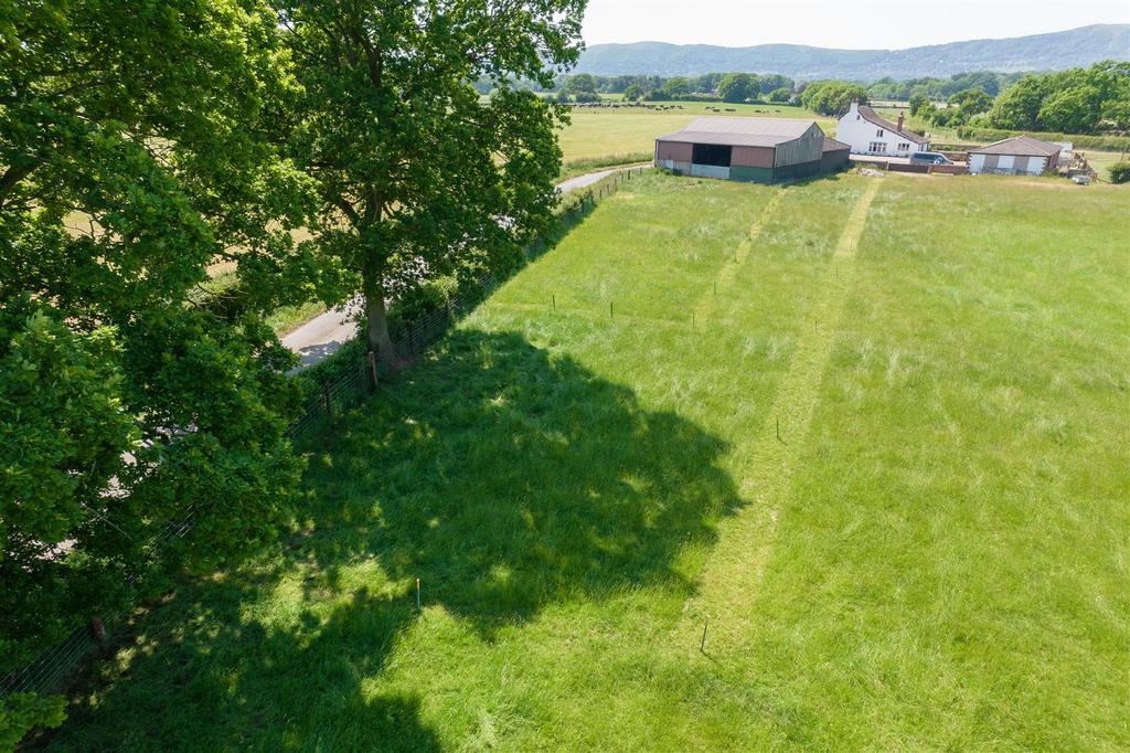 20230608-DJI 0763.jpg