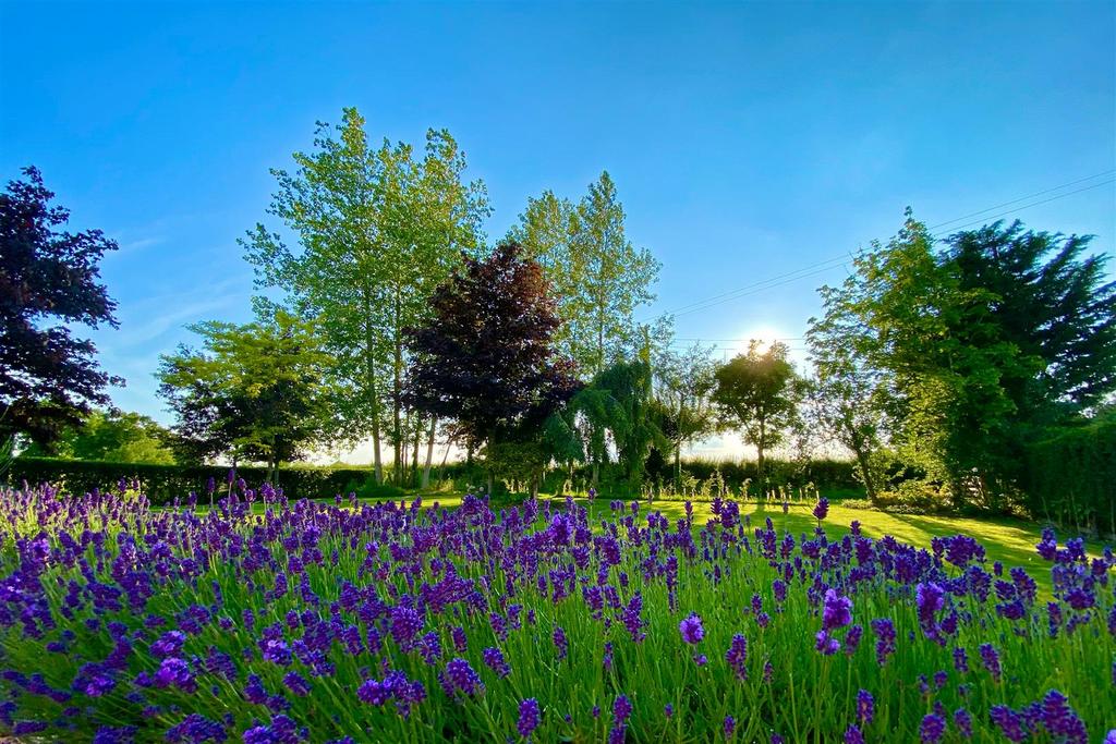 Front Garden.jpg