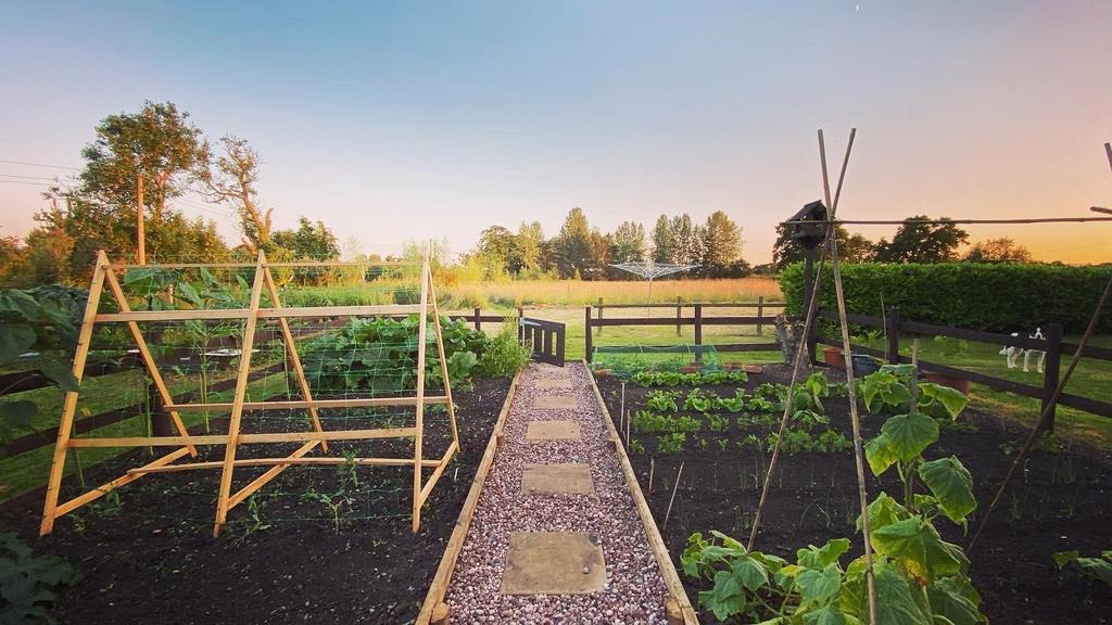 Veg Garden.jpg