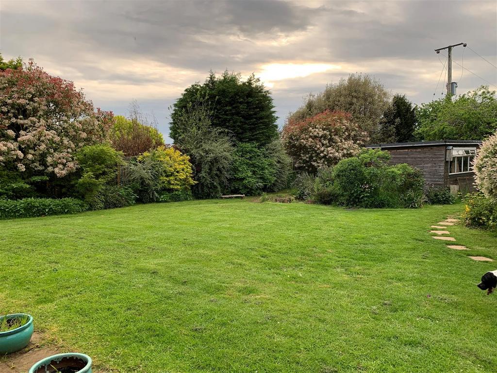 Garden 1.jpg