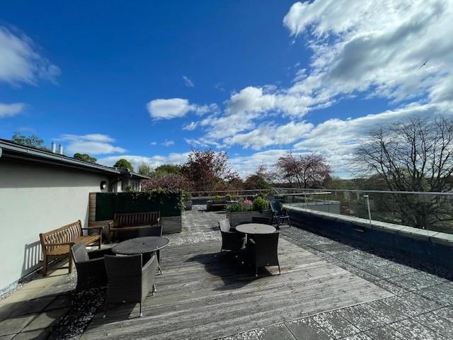 Roof terr 3 9-5-24.jpg