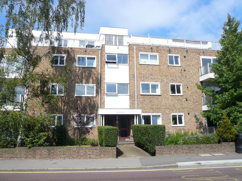 Front aspect