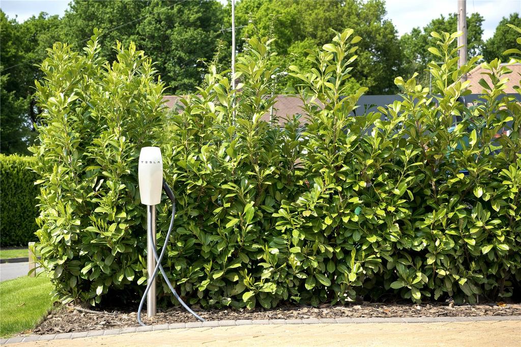 Electric Charger