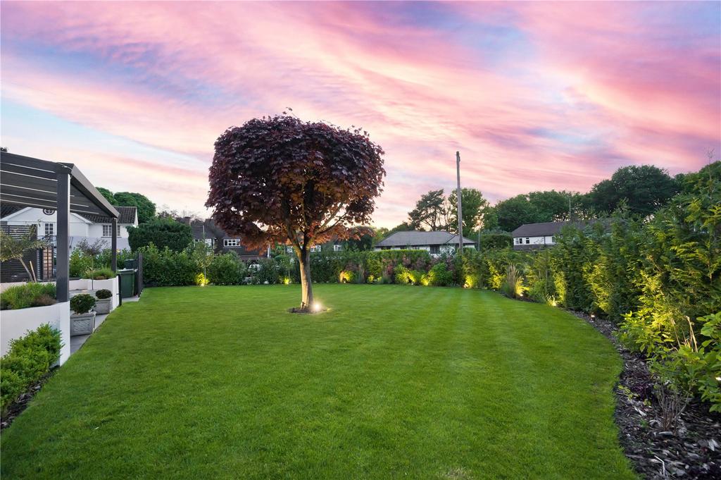 Garden Night Shot