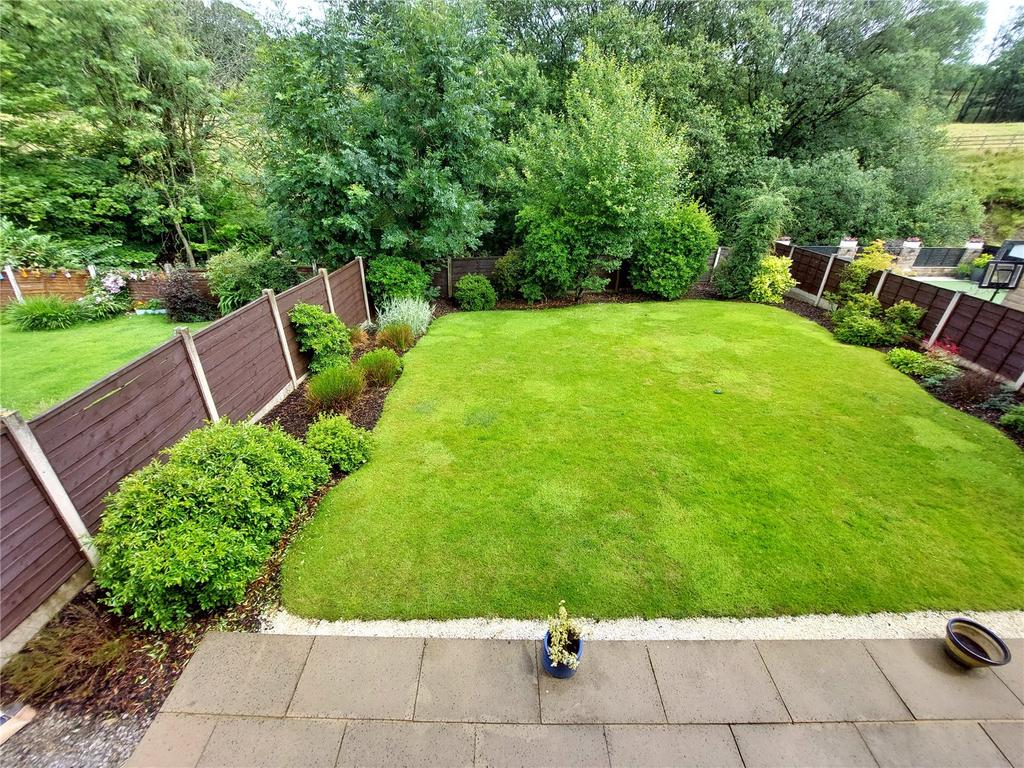 Patio &amp; Lawn