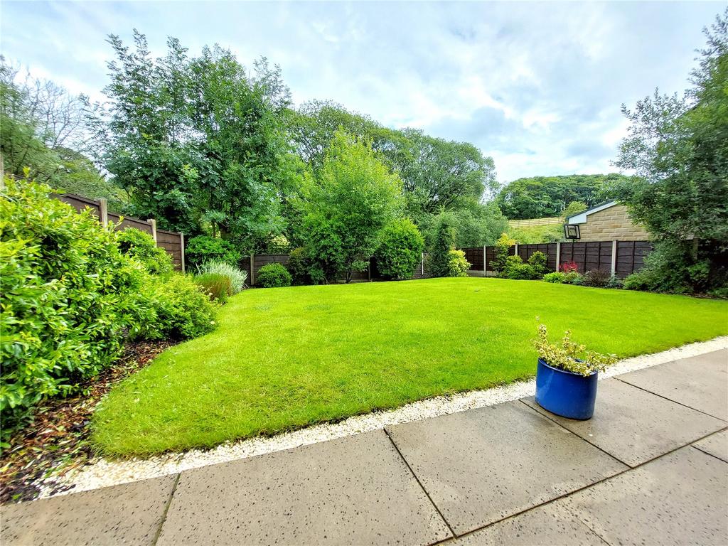 Patio &amp; Lawn