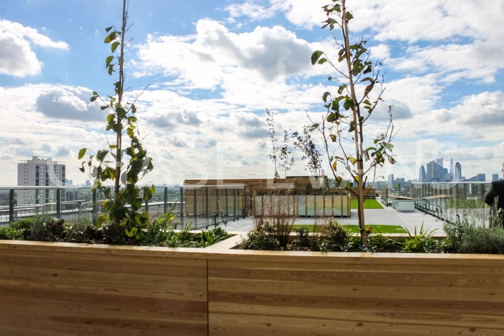 Rooftop Garden