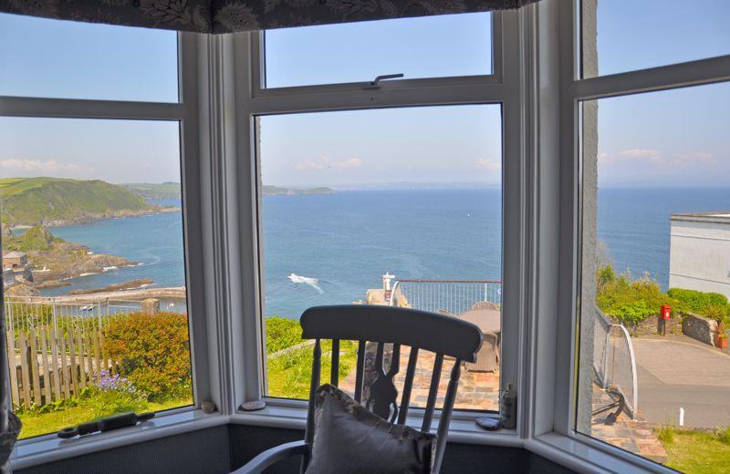 Living Room Window