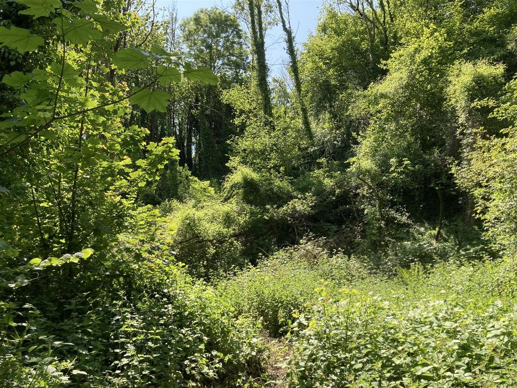 IMG 1138 2.jpeg