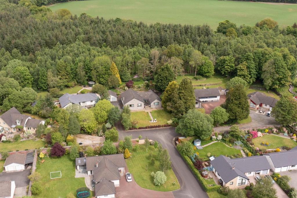 DJI 0355.jpg