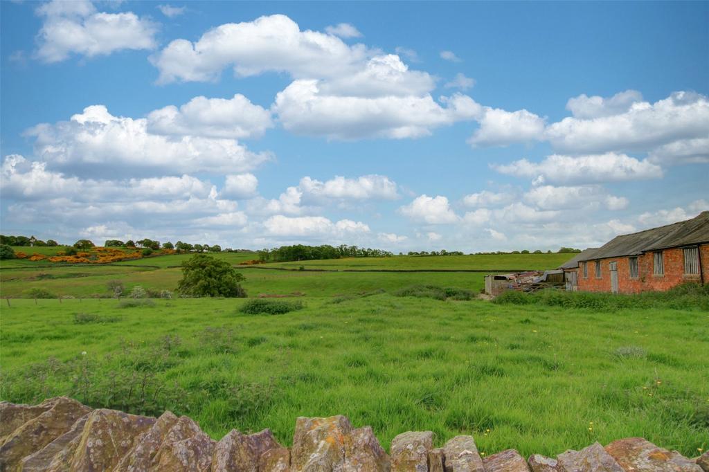 View From Garden