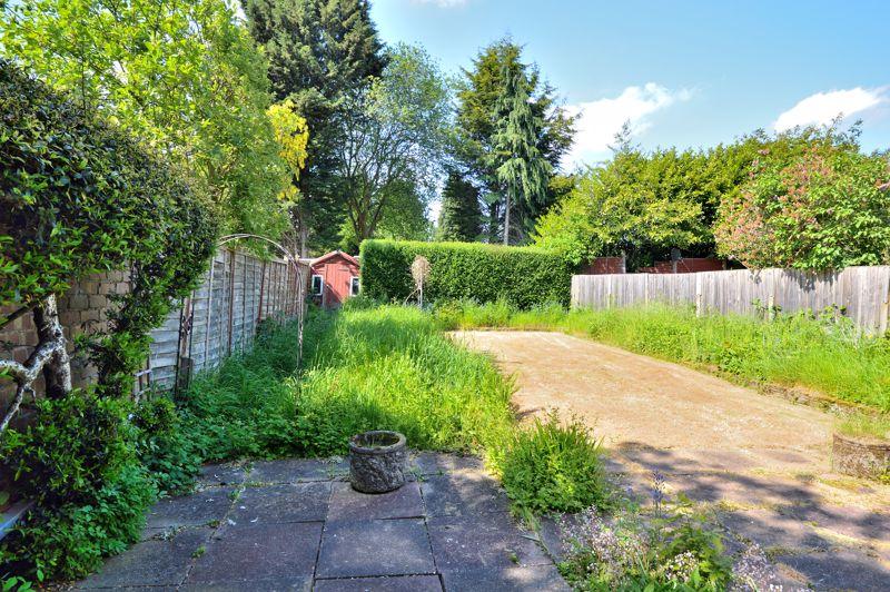 Back garden