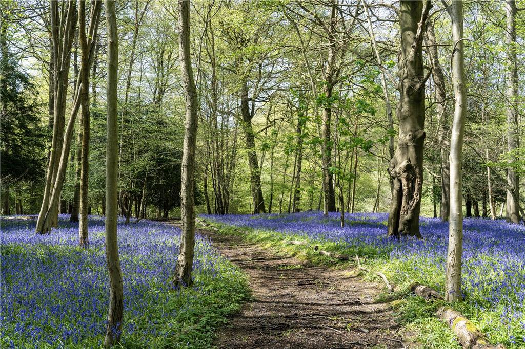Woodland