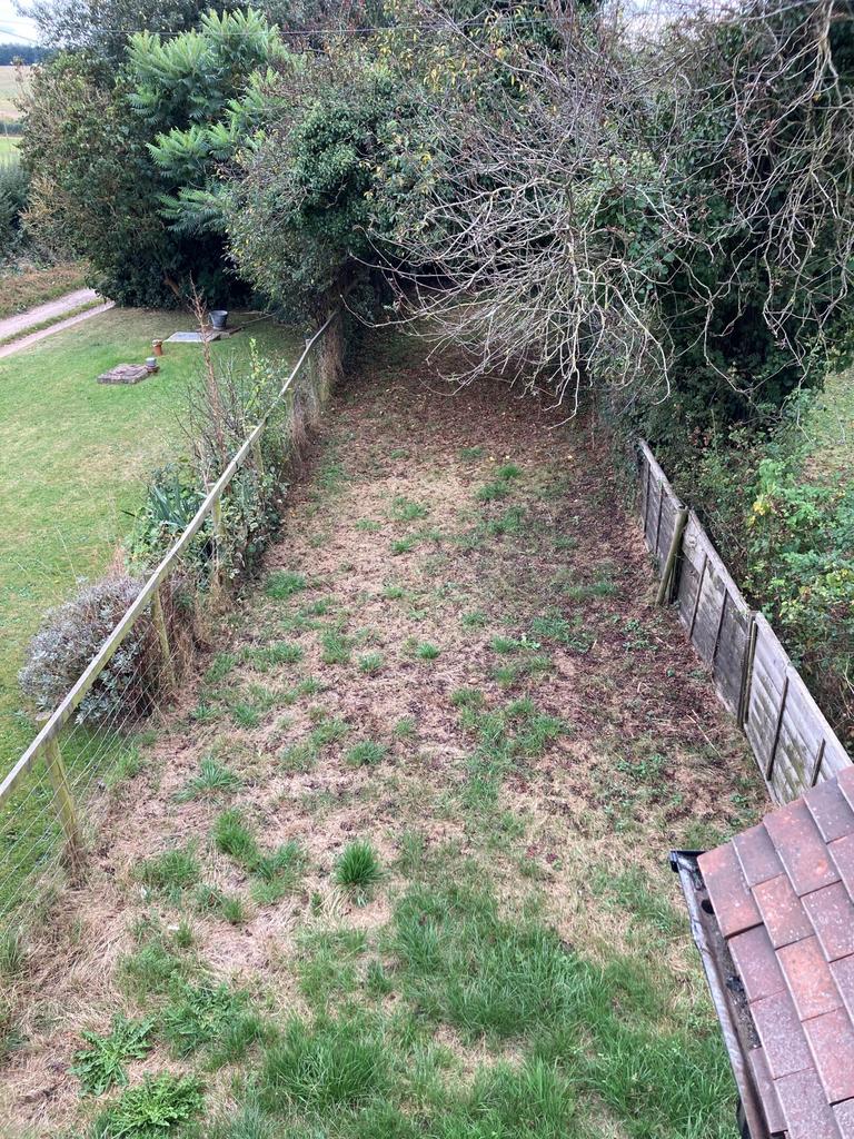 Front garden