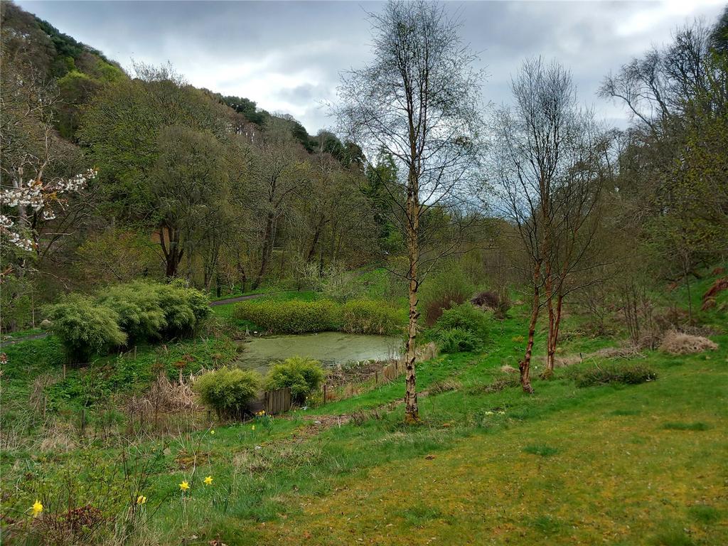 Beyond Garden