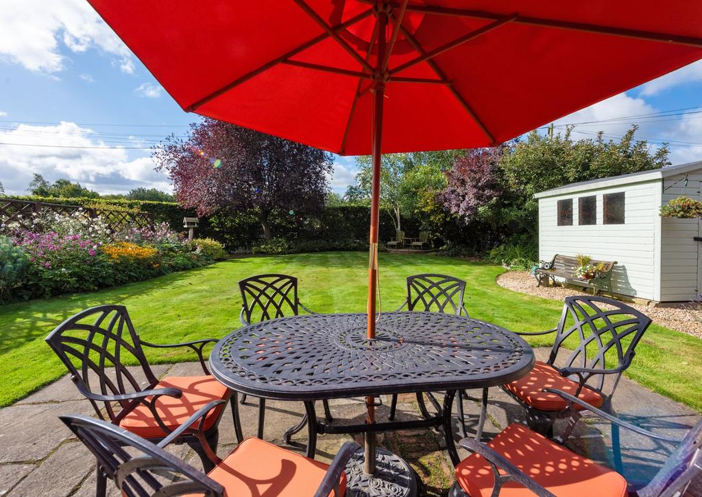 Patio Area