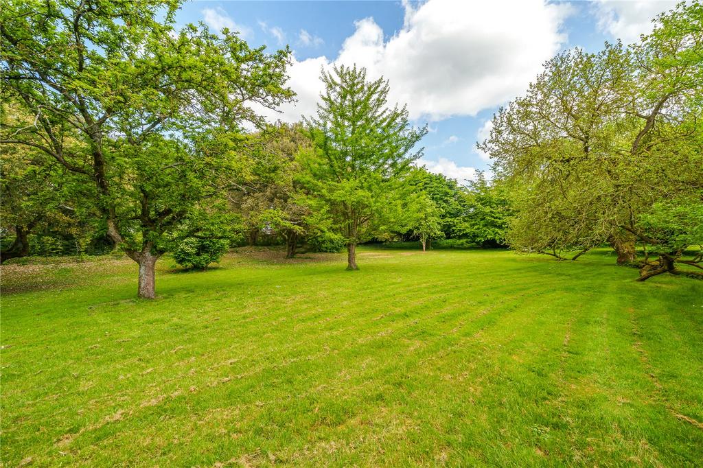Grounds