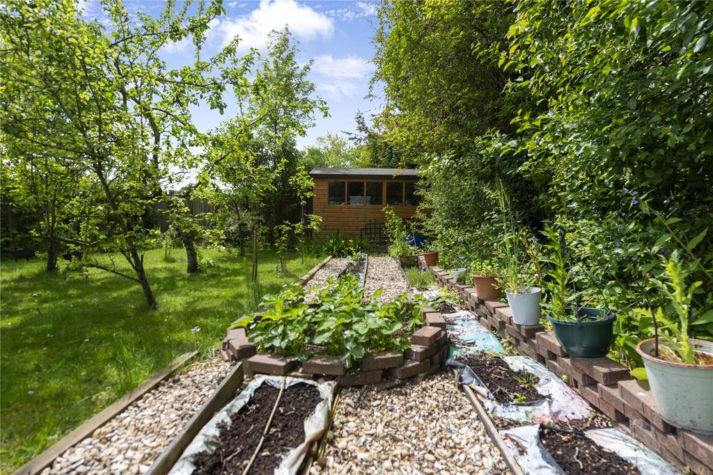 Grow Your Own!