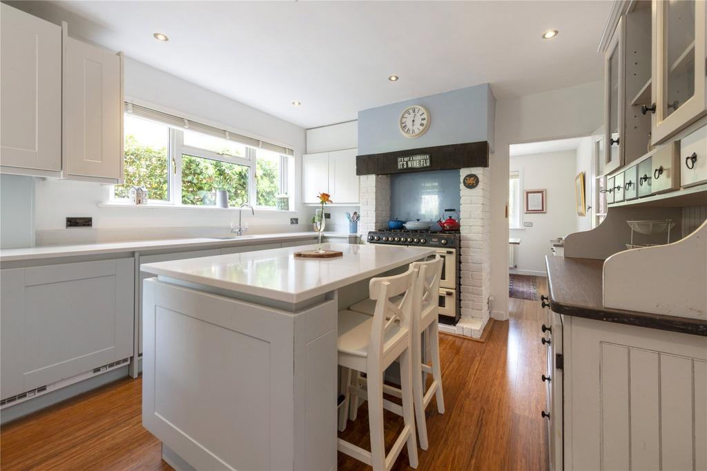 Modern Kitchen