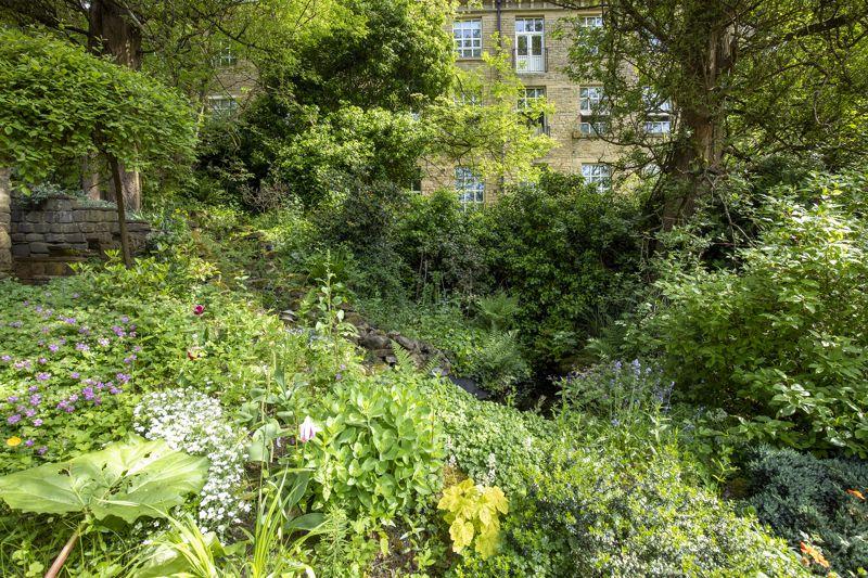 Garden &amp; Pond