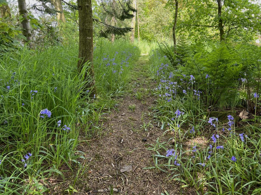 Linnet Lodge, Gelston - Williamson and Henry