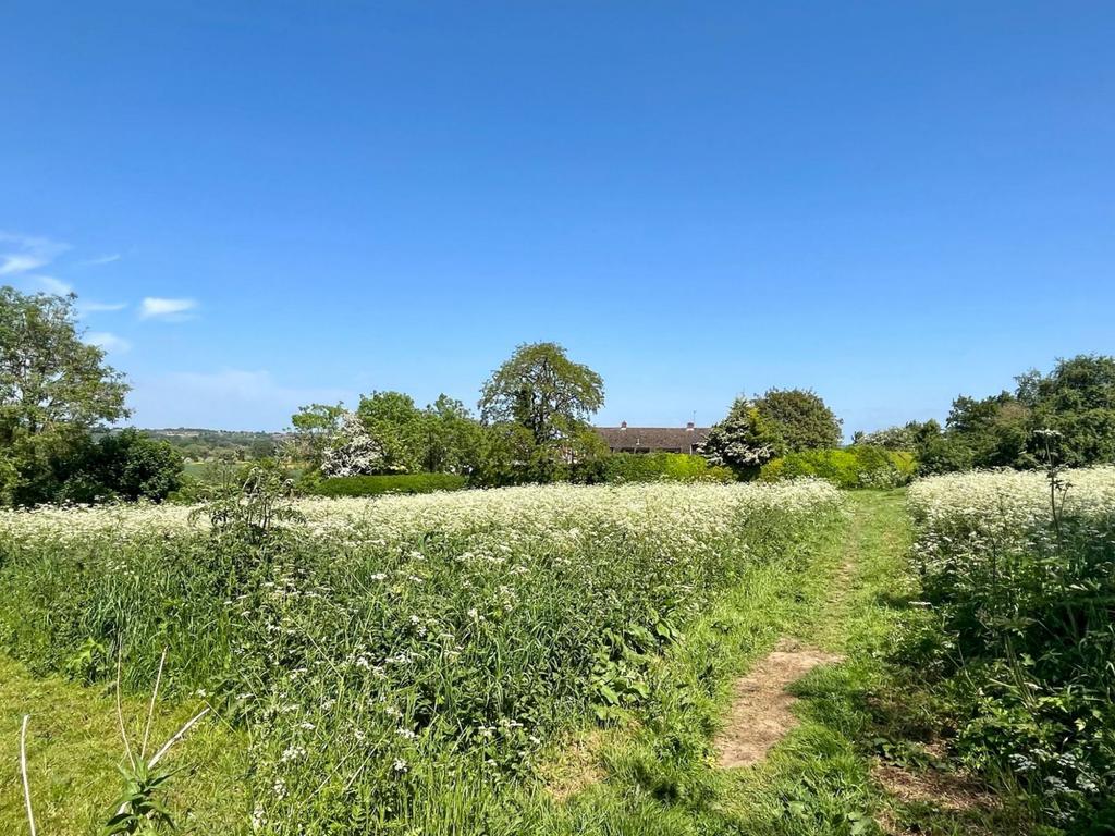 Fields