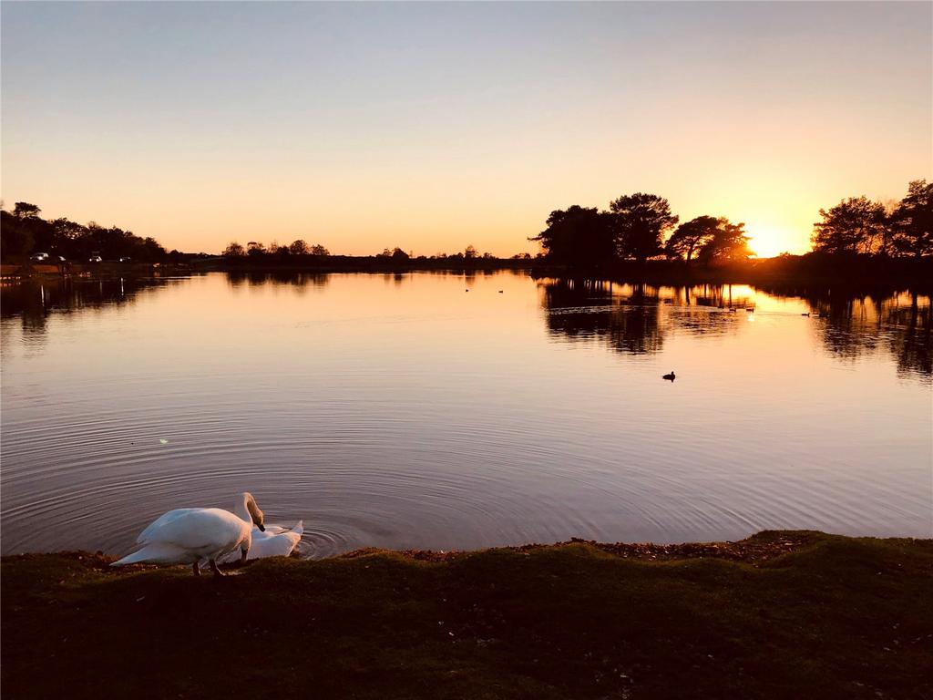 Hatchet Pond
