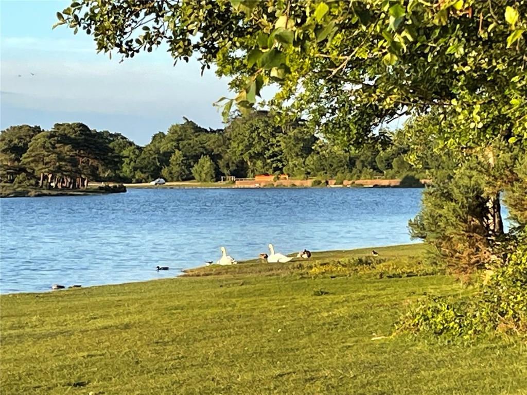 Hatchet Pond
