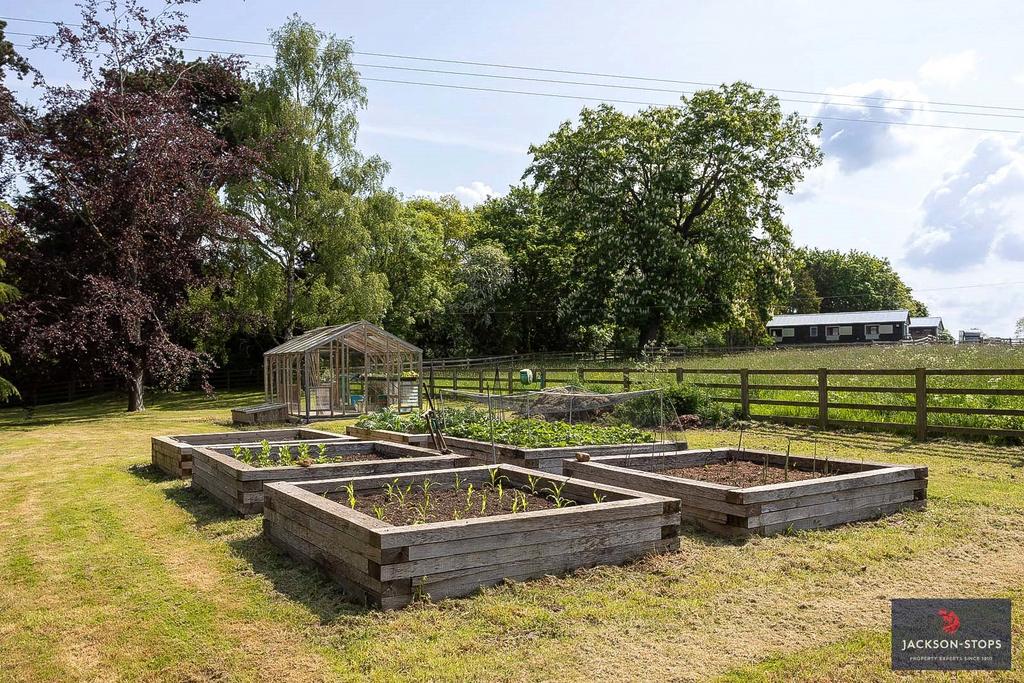 Kitchen Garden