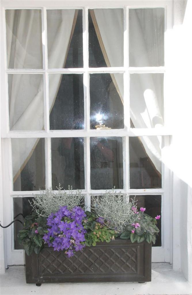 Courtyard window box.jpg